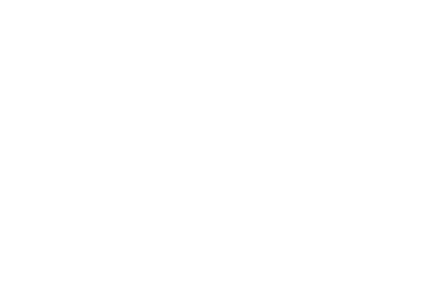 flying-fish-logo