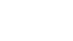flying-fish-logo