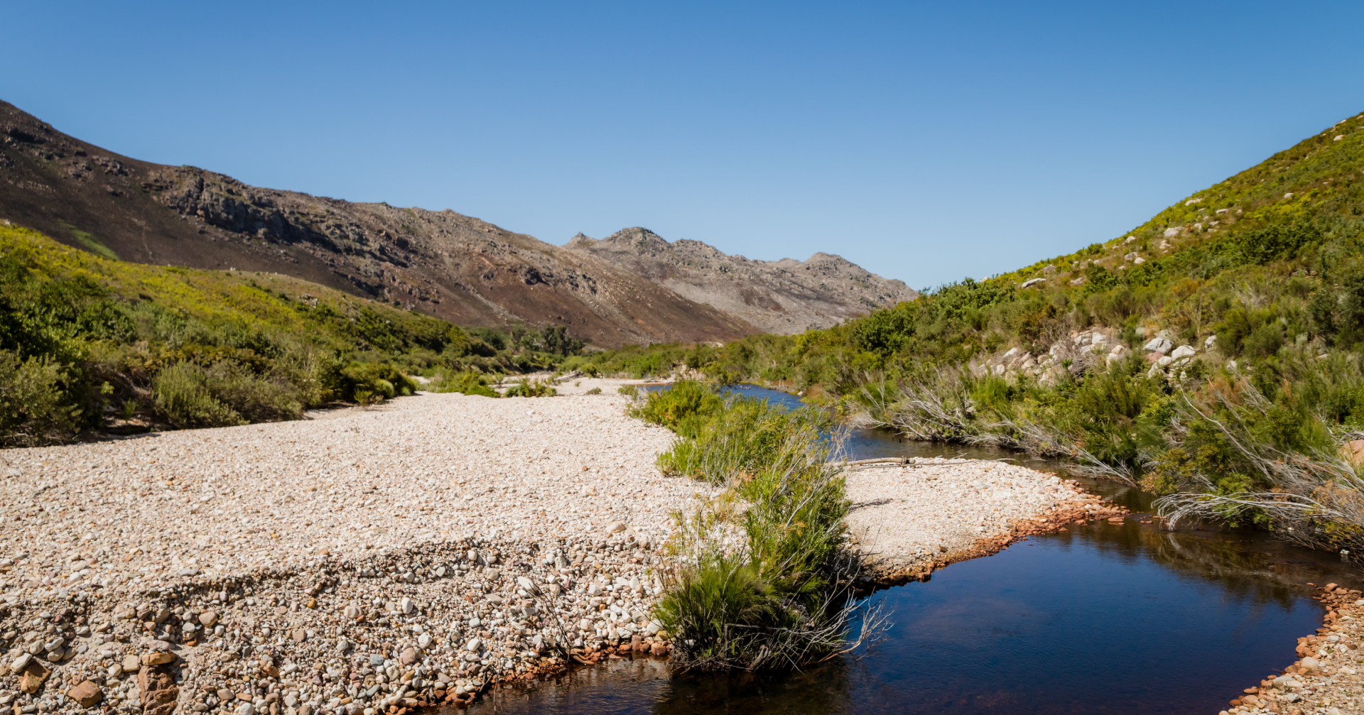 Water Stewardship