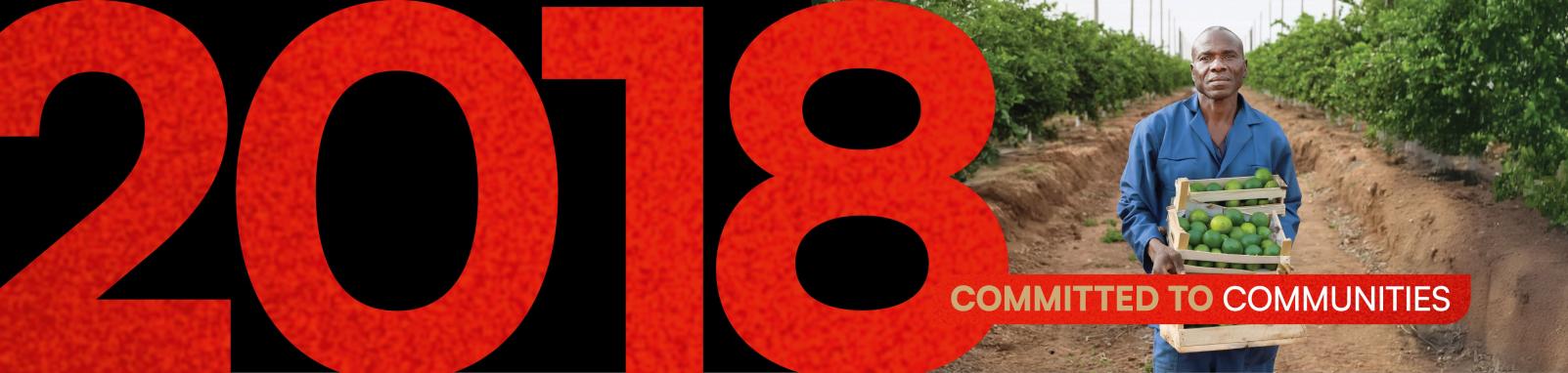 pillar-banner-image